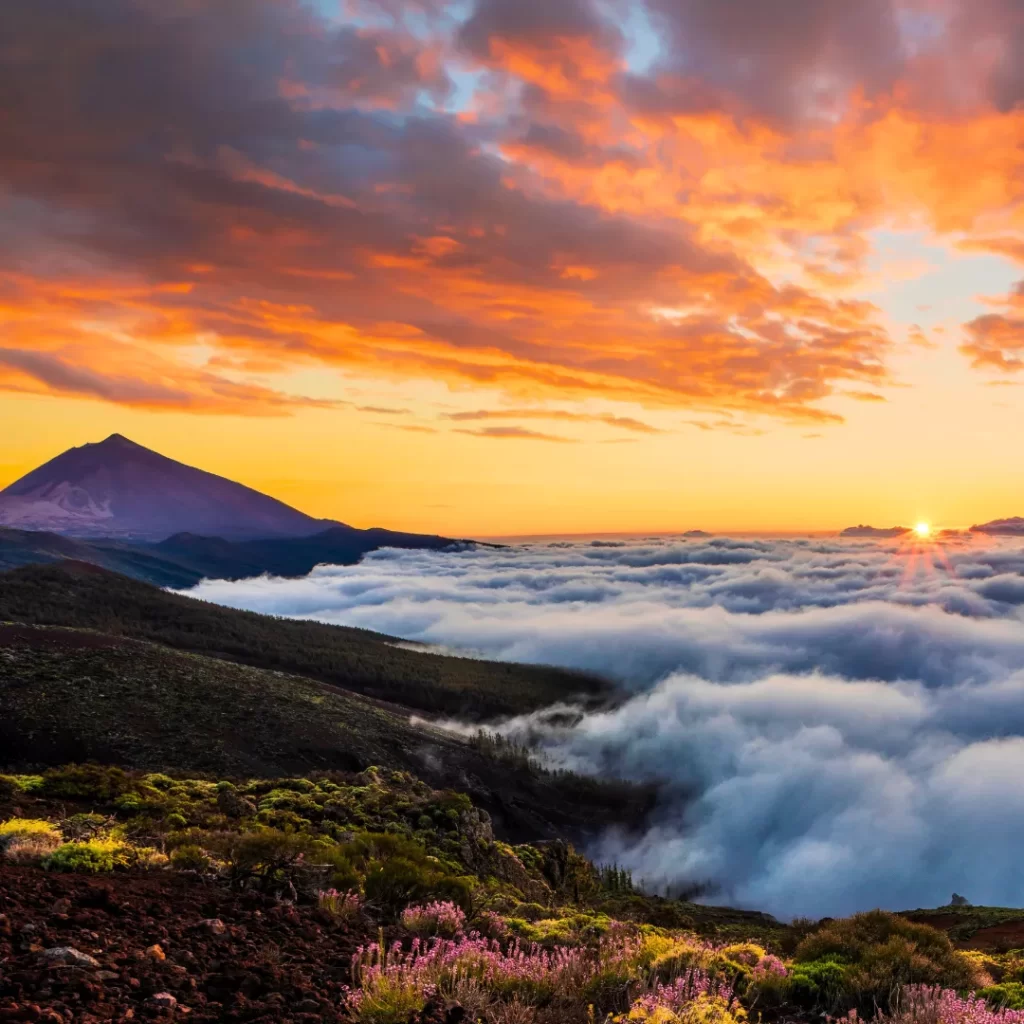 Teide bij nacht