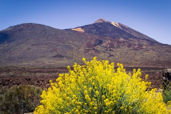 Aventura de descenso del Teide en bicicleta - Imagen 2