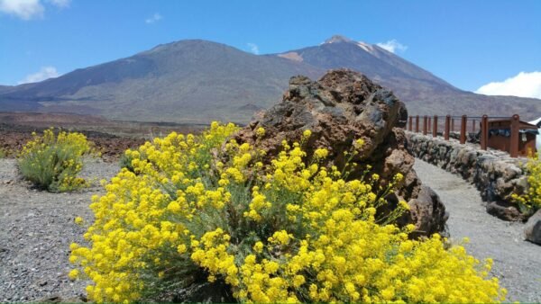 Aventura de descenso del Teide en bicicleta - Imagen 4