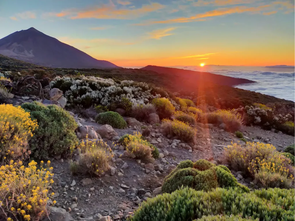 teide-sunset