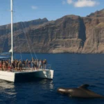 WHALE-watching-tenerife