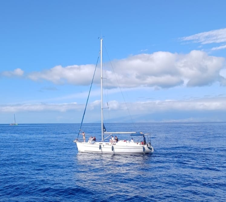 Fajna żaglówka - obrazek 2