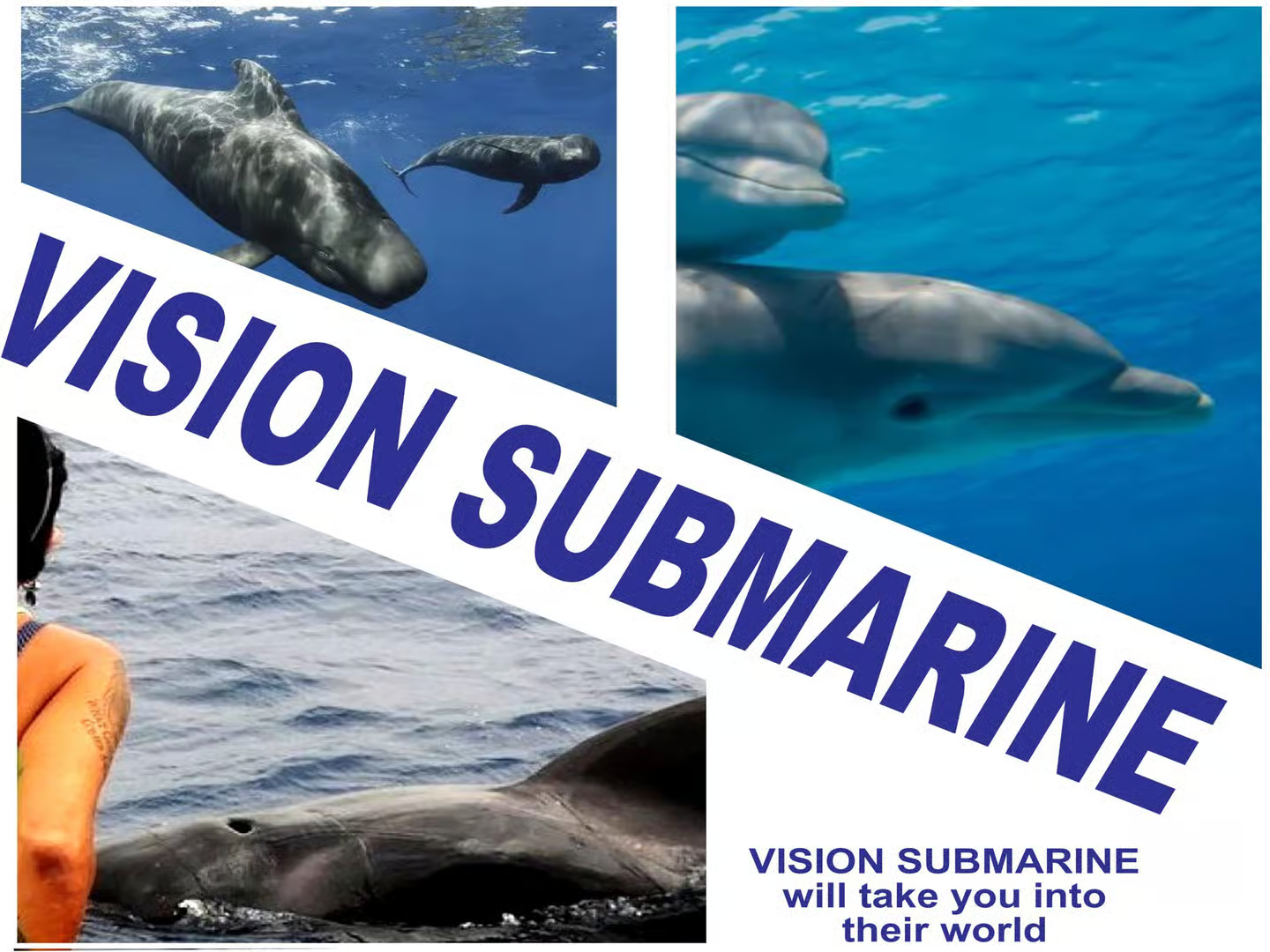 Vision Submarine