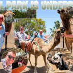 Camel Park Tenerife