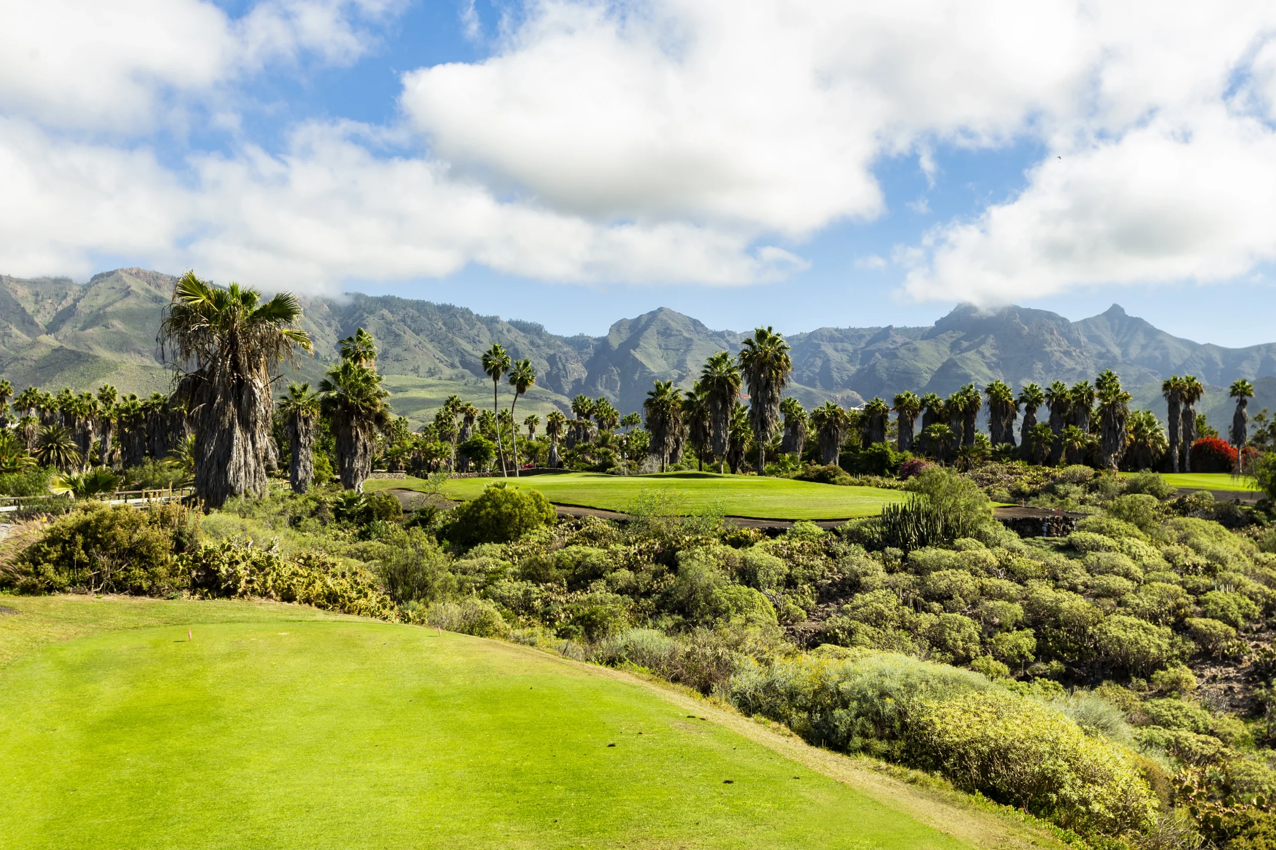 Golf Costa Adeje - Image 5